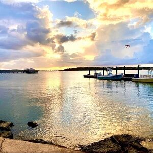 Meet your Posher, Ramona